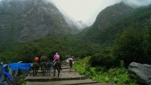 Valley of Flowers, Uttarakhand