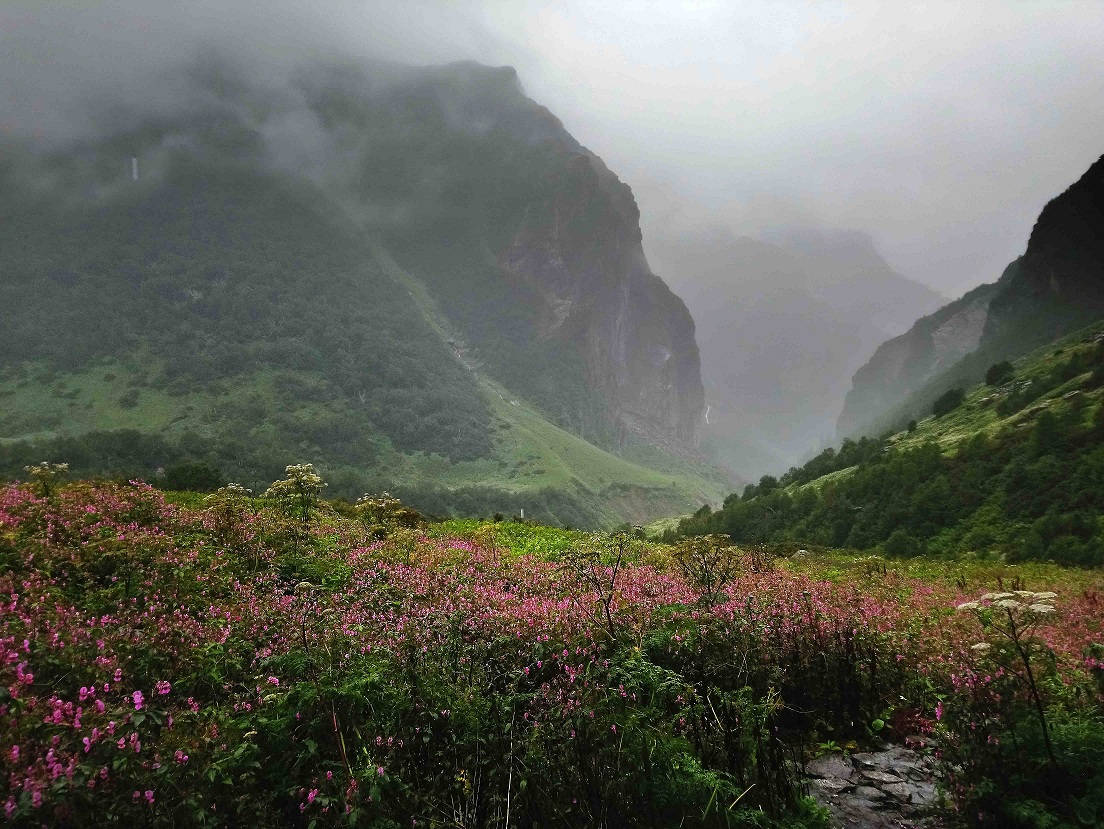 Valley Of Flowers, Uttarakhand 42 | Soul Trails