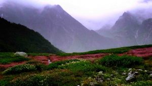 Valley of Flowers, Uttarakhand