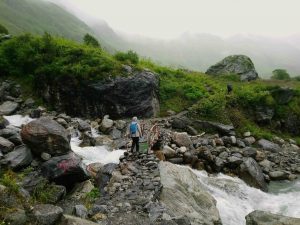 Valley of Flowers, Uttarakhand