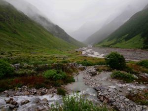 Valley of Flowers, Uttarakhand