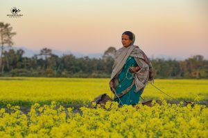 Bodoland, Assam,Bodo People, Bodo Cuisine, Bodo Culture, Bodoland Tourism, Ambassadors of Bodoland